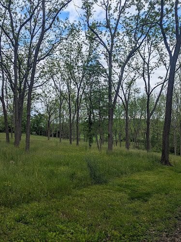 Chestnut Grove Park