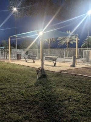 Kiwanis Dog Park