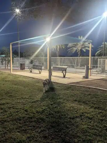 Kiwanis Dog Park