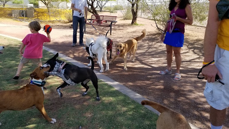 Tempe Sports Complex Dog Park - Tempe, AZ