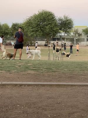 Tempe Sports Complex Dog Park