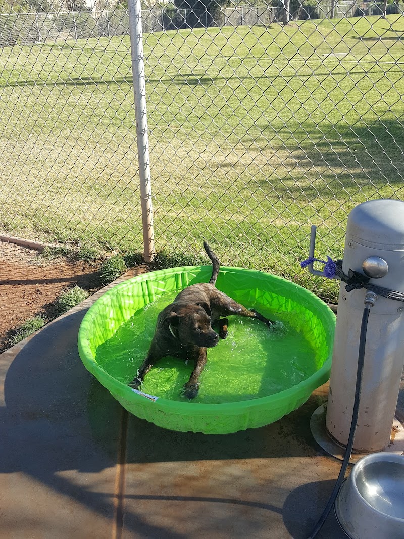 Tempe Sports Complex Dog Park - Tempe, AZ