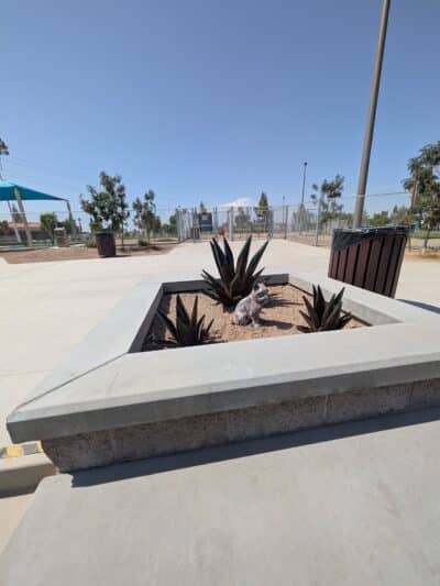 Kiwanis Dog Park - Tempe, AZ