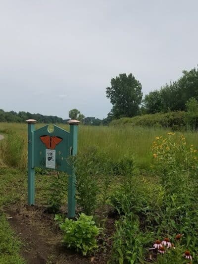 Ansted Park - Temperance,