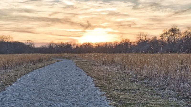 Ansted Park - Temperance,