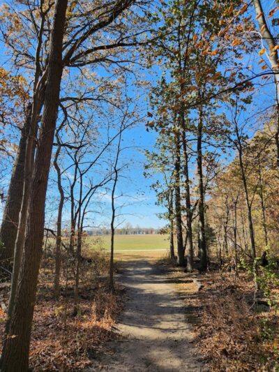 Indian Creek Park - Temperance,