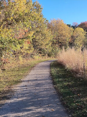 Ansted Park