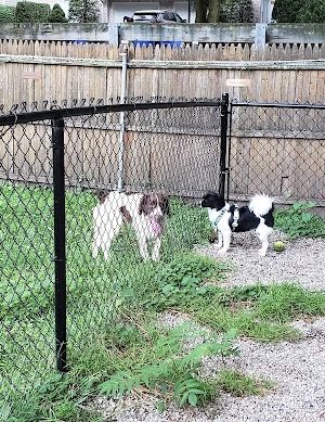Tenafly Dog Park