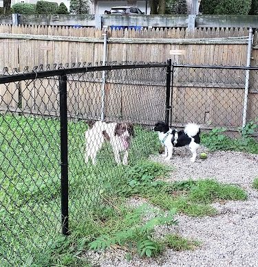 Tenafly Dog Park