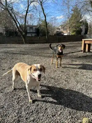 Tenafly Dog Park