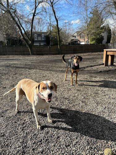 Tenafly Dog Park