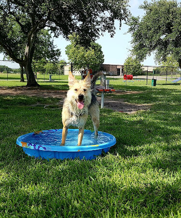 Texas City Dog Park