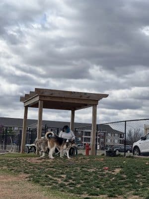 Duffys Dog Park