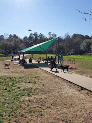 Cattail Park Dog Park