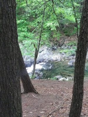 Thetford Hill State Park - Thetford Center, VT