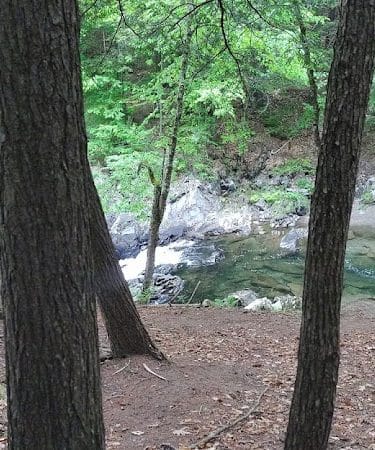 Thetford Hill State Park - Thetford Center, VT