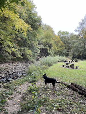 Northfield Brook Lake Park