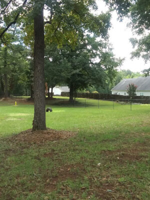 Thomaston Dog Park