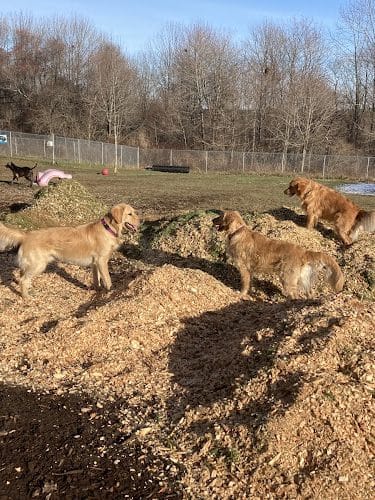 Thomaston Dog Park - Thomaston, ME