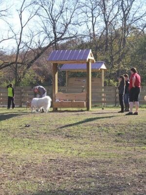 Nutro Dog Park