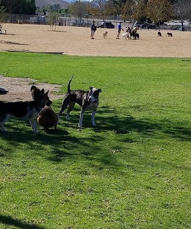 Conejo Creek Dog Park - Thousand Oaks, CA