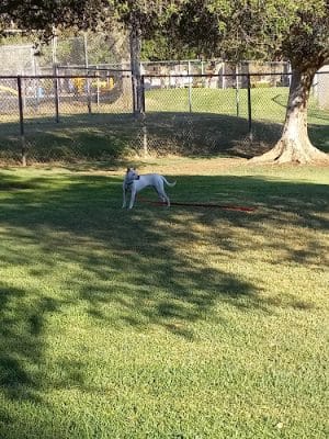 Kimber Dog Park - Thousand Oaks, CA