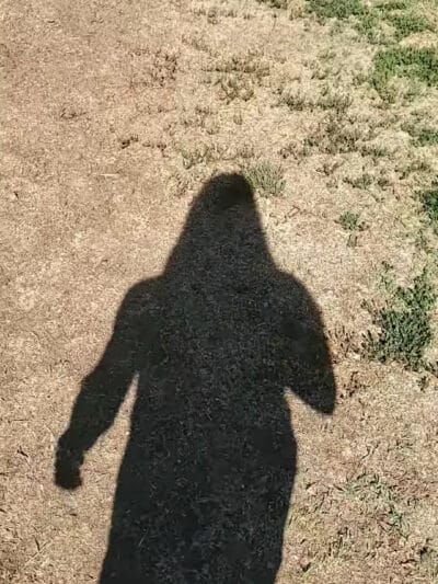 Conejo Creek Dog Park - Thousand Oaks, CA