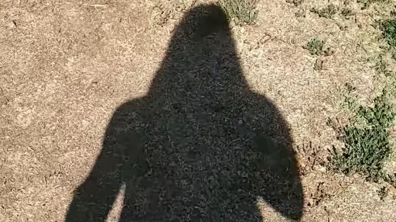 Conejo Creek Dog Park - Thousand Oaks, CA