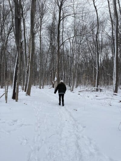 Flynn Woods Preserve - Three Oaks,