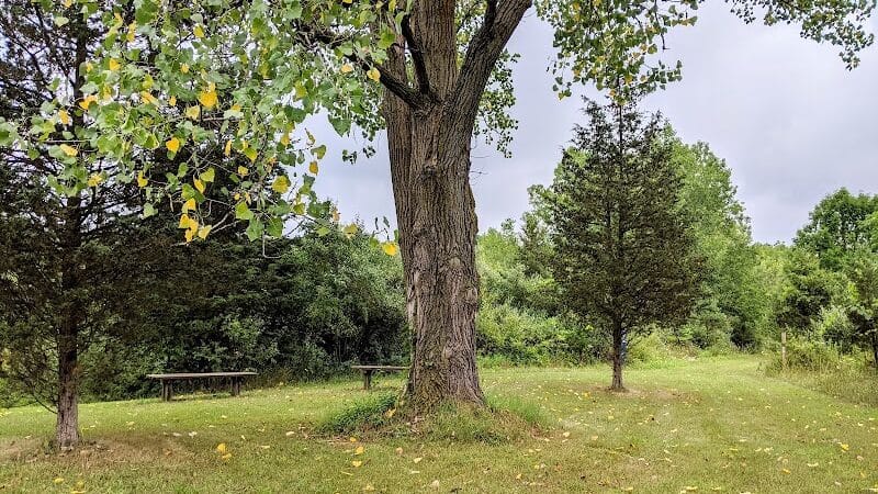 Harbert Road Preserve - Three Oaks,