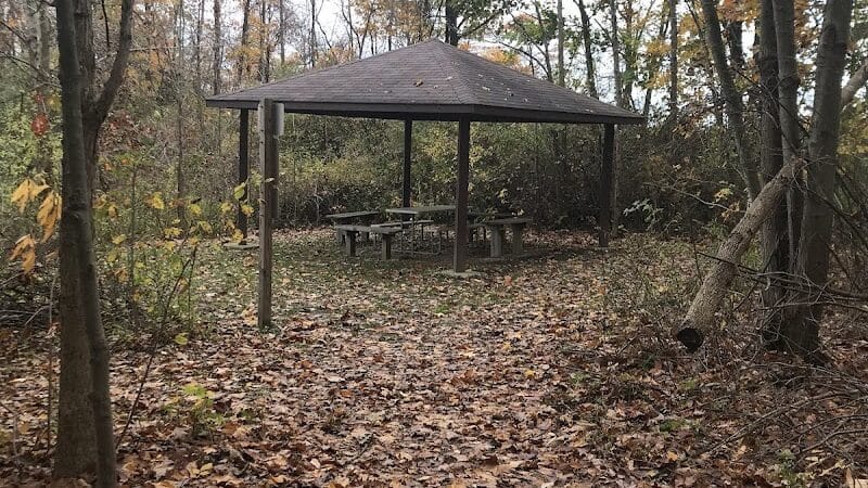 Harbert Road Preserve - Three Oaks,
