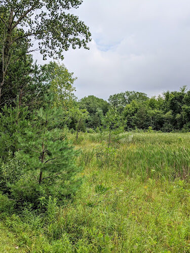 Harbert Road Preserve