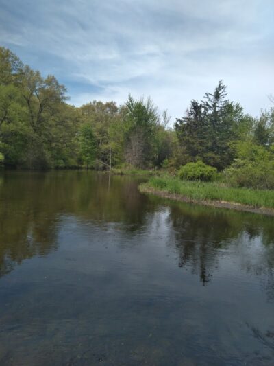 Hoshel Canoe County Park - Three Rivers,