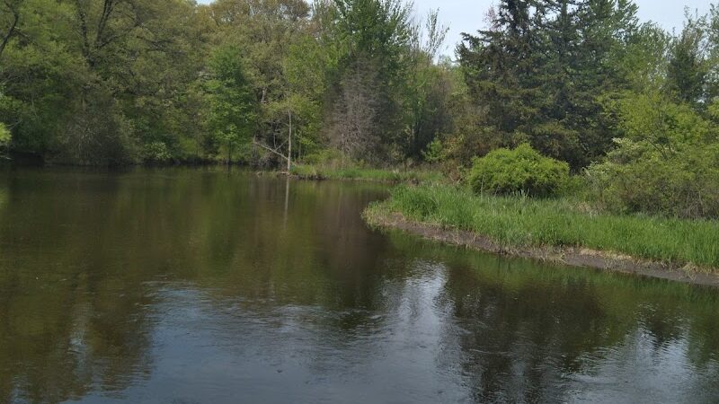 Hoshel Canoe County Park - Three Rivers,