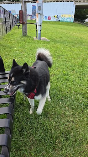 Three Rivers Dog Park