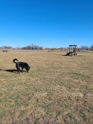 Tiffin Dog Park