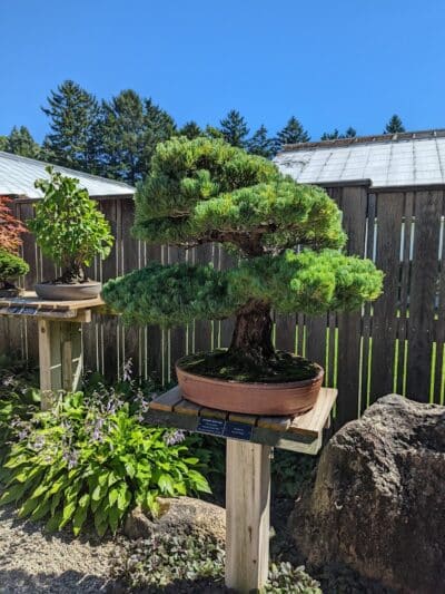 Hidden Lake Gardens - Tipton, MI