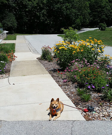 Hidden Lake Gardens