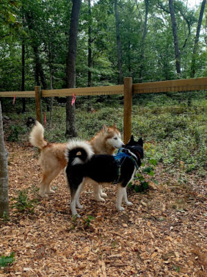 Raymond F Jones Memorial Dog Park