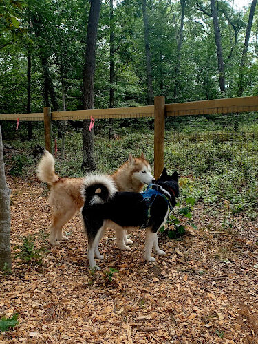 Raymond F Jones Memorial Dog Park