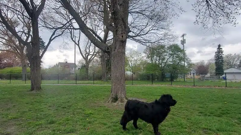 Glass City Dog Park (Membership Required) - Toledo,