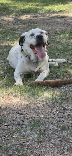 Middlegrounds Dog Park