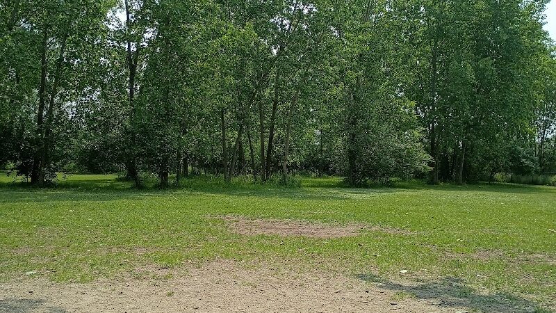 Middlegrounds Dog Park - Toledo,