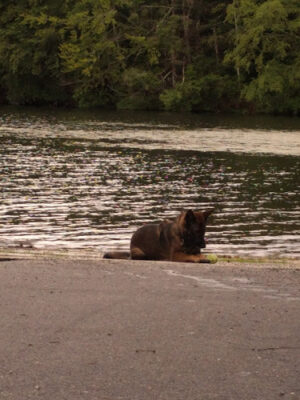 Burr Pond State Park