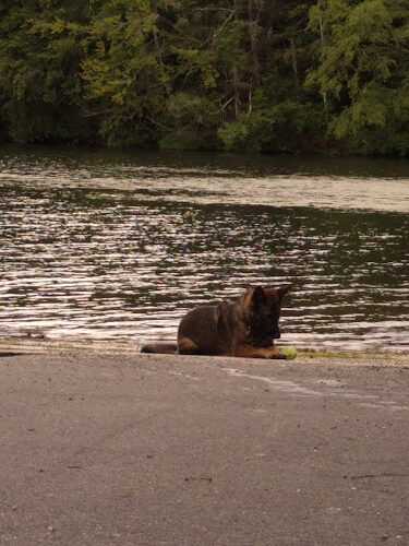 Burr Pond State Park