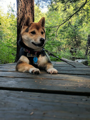 Sunnybrook State Park
