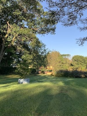 Senior Park