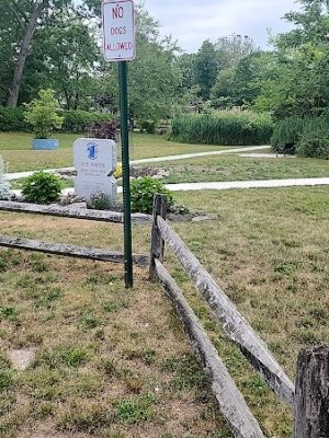 Senior Park
