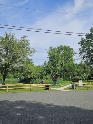 Senior Park