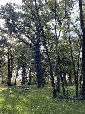 T.F. Clark Park